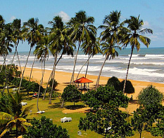 Туры на Шри-Ланку из Минска