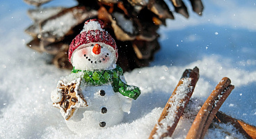 Новогодние туры