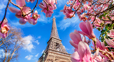 Туры во Францию